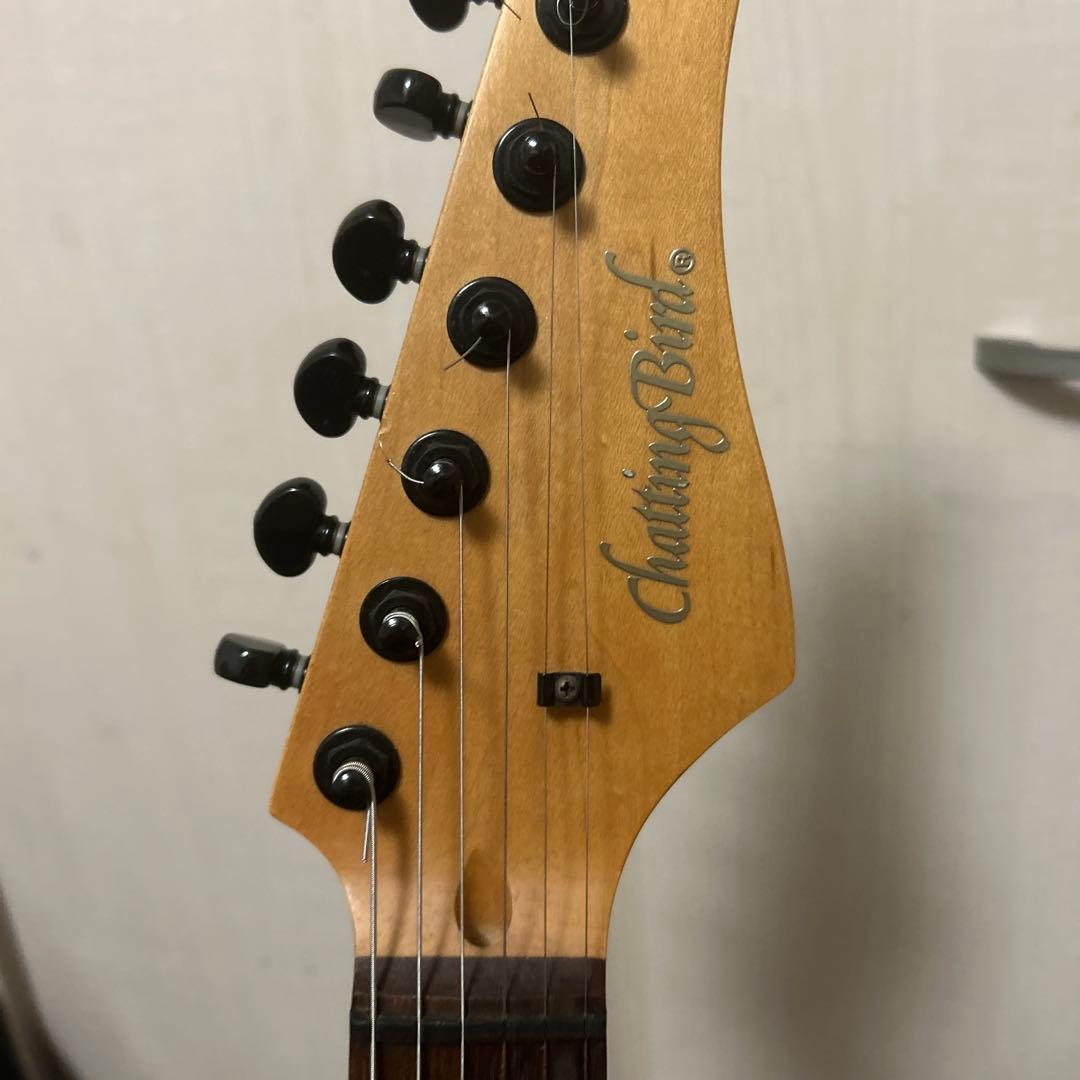 Chasing Bird エレキギター ワインレッド