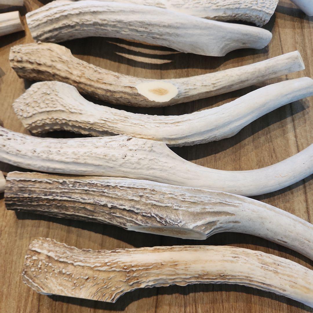 鹿の角　ランダム５kgセット