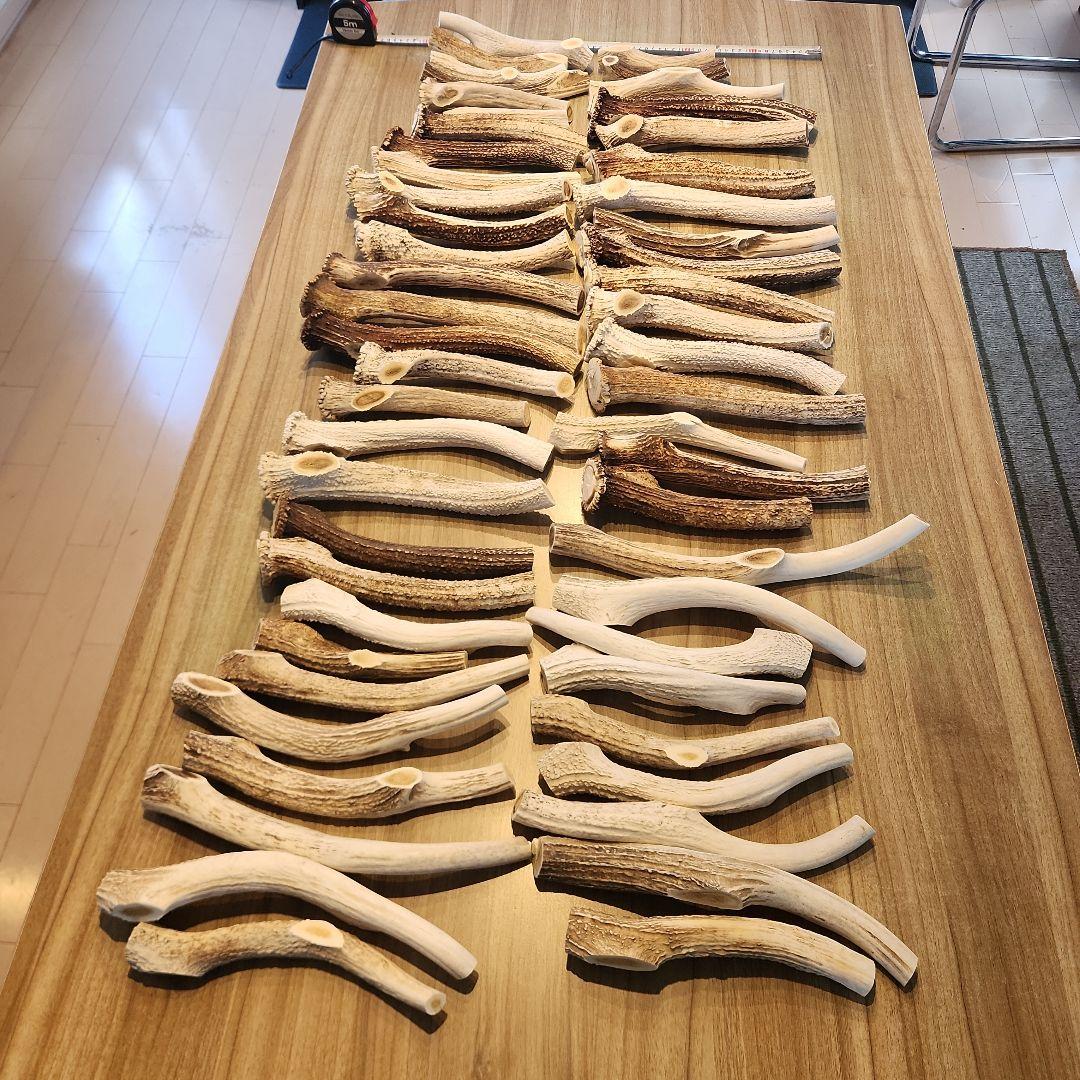 鹿の角　ランダム５kgセット