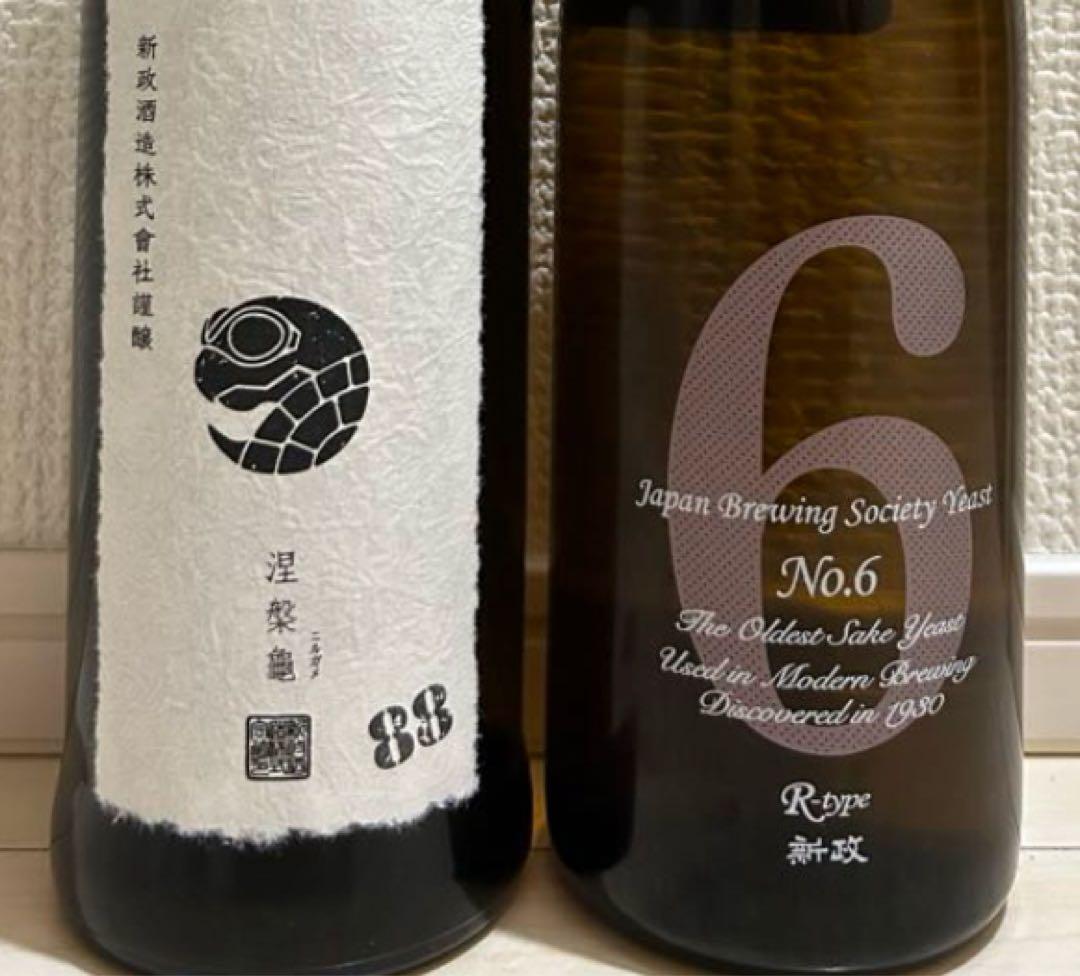 新政　涅槃龜、NO.6