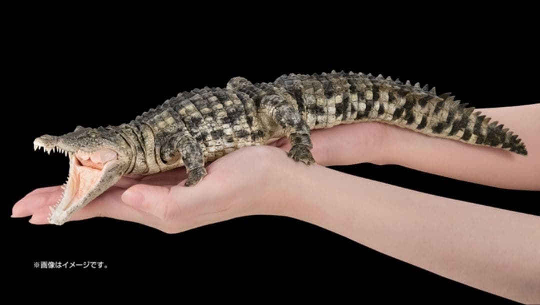 いきもの大図鑑アルティメット　ナイルワニ　新品