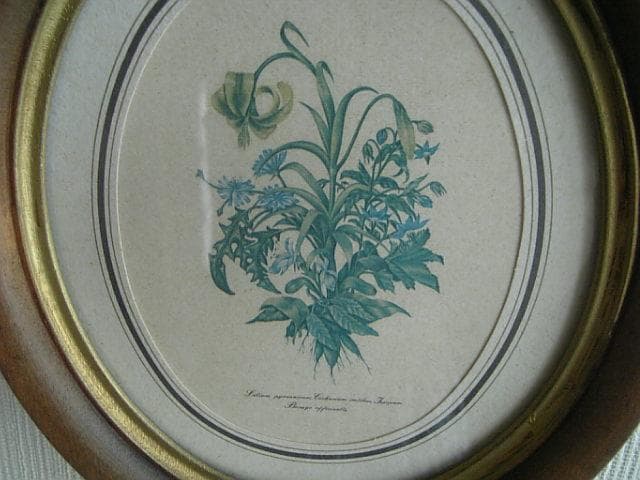 ANTIQUE＊/アンティーク＊　　☆絵画★　楕円形フレーム