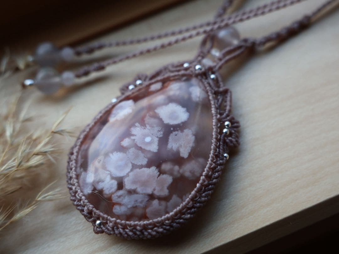 でんちゃん 8/22