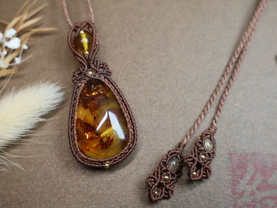 でんちゃん 8/22