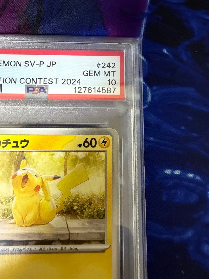 【PSA10】ピカチュウSV-P242 イラストレーションコンテスト②