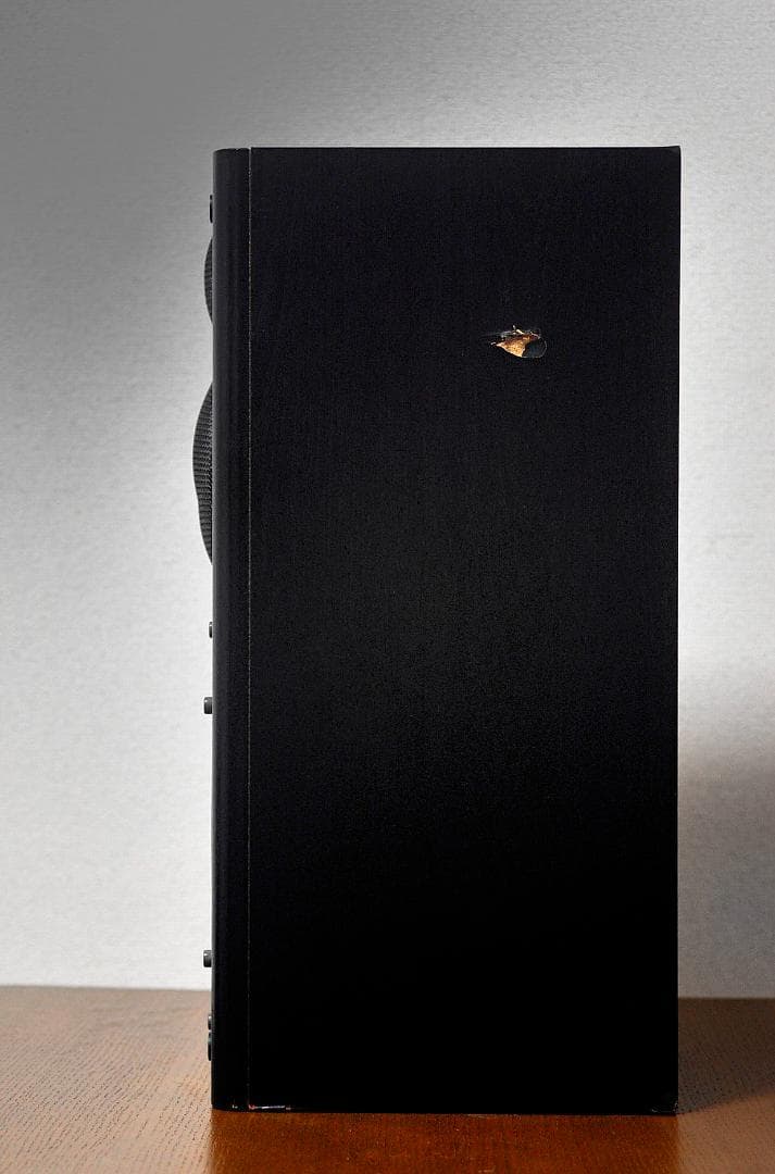 ★CORAL DX-THREE/Ⅱが伝えるスピーカーづくりの意気込み！