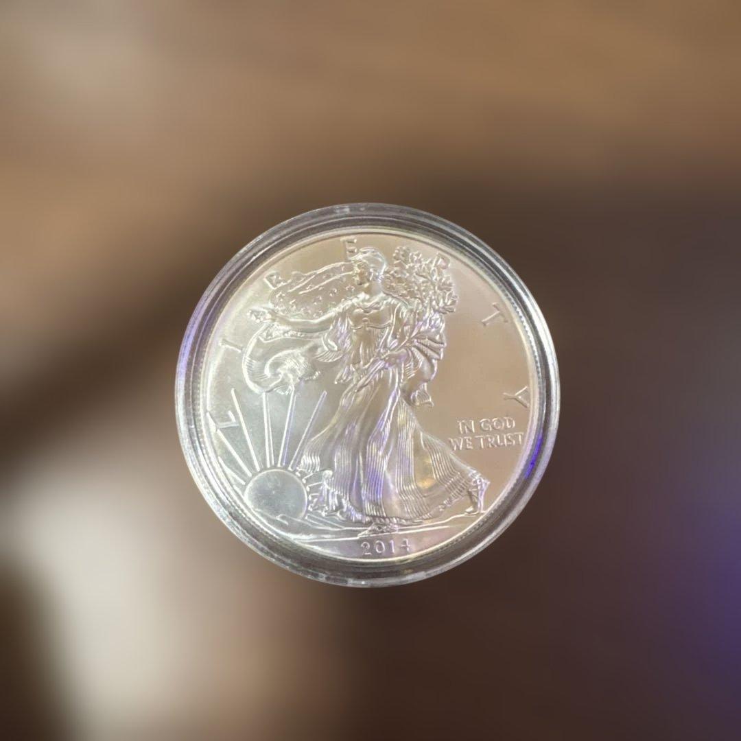 アメリカンウォーキングリバティーイーグル銀貨 2014年 1ドル　1オンス