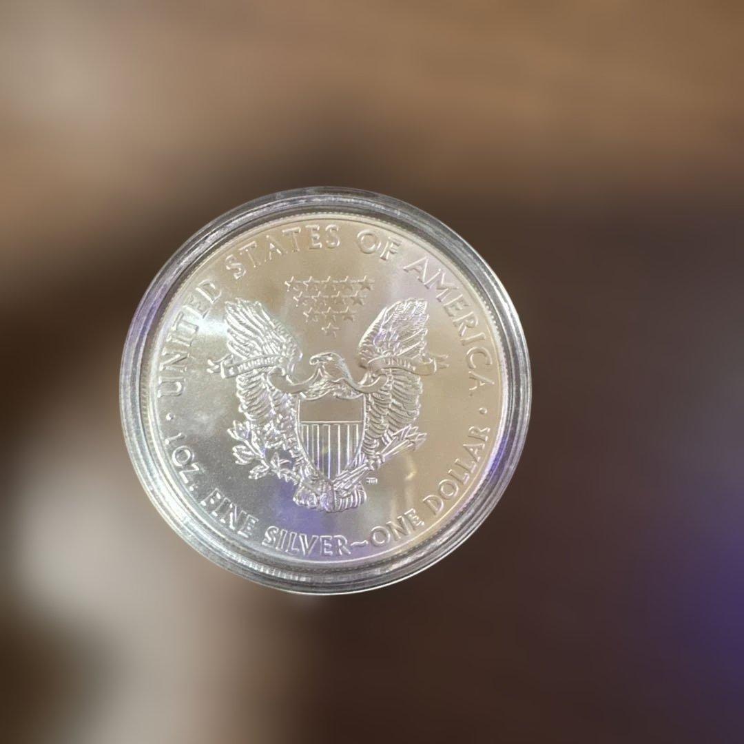 アメリカンウォーキングリバティーイーグル銀貨 2014年 1ドル　1オンス