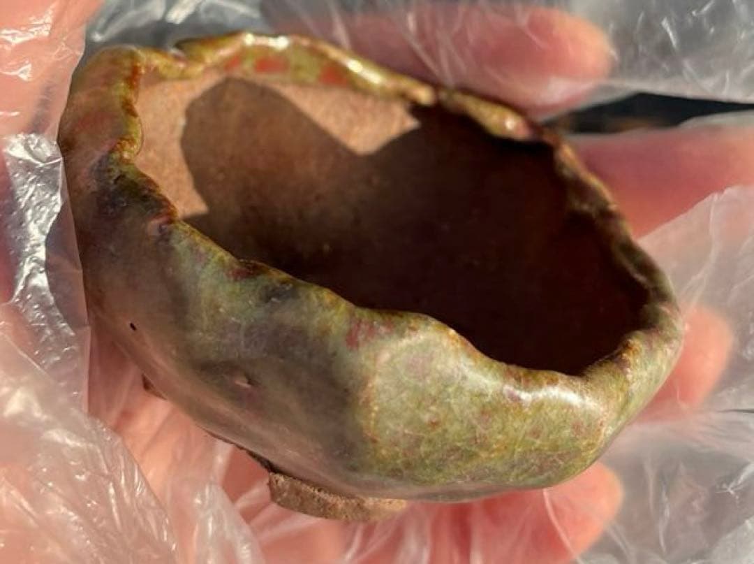 虹泉　盆栽鉢　小品　ミニ