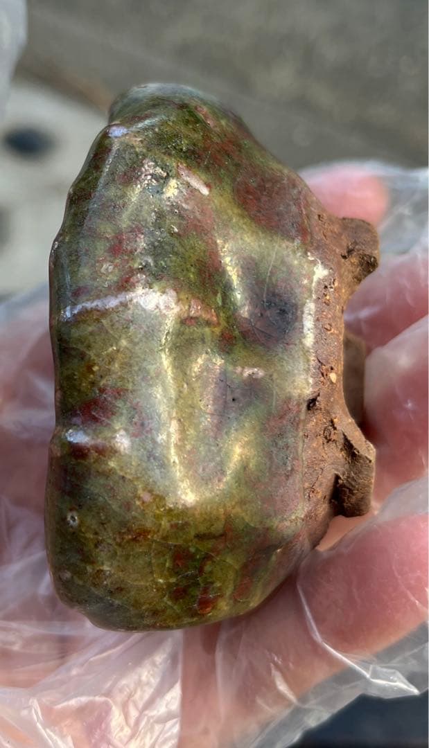 虹泉　盆栽鉢　小品　ミニ