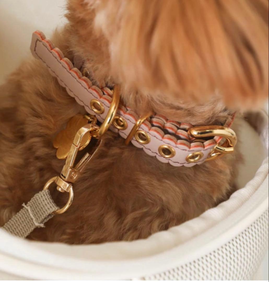 小型犬用バックパック型キャリーバッグ ブラックS