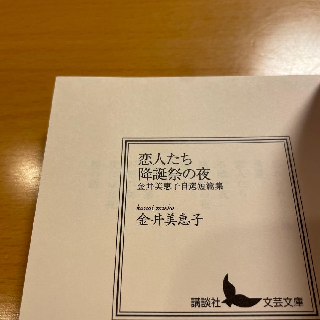 【絶版セット・希少・美品】 金井美恵子 自選短篇集 講談社文芸文庫 【匿名配送】