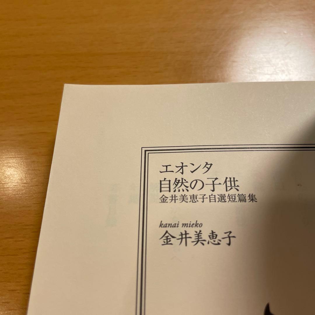 【絶版セット・希少・美品】 金井美恵子 自選短篇集 講談社文芸文庫 【匿名配送】