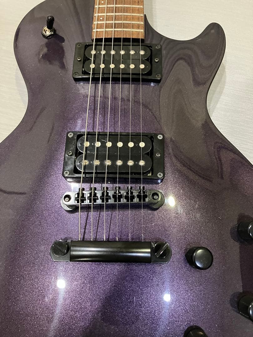 FERNANDES RE-95G CRAZE 瀧川一郎モデル