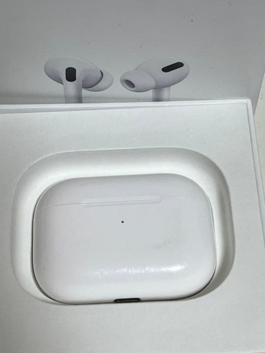 Apple AirPods Pro ケース