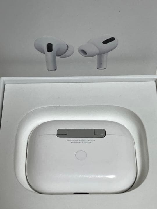 Apple AirPods Pro ケース