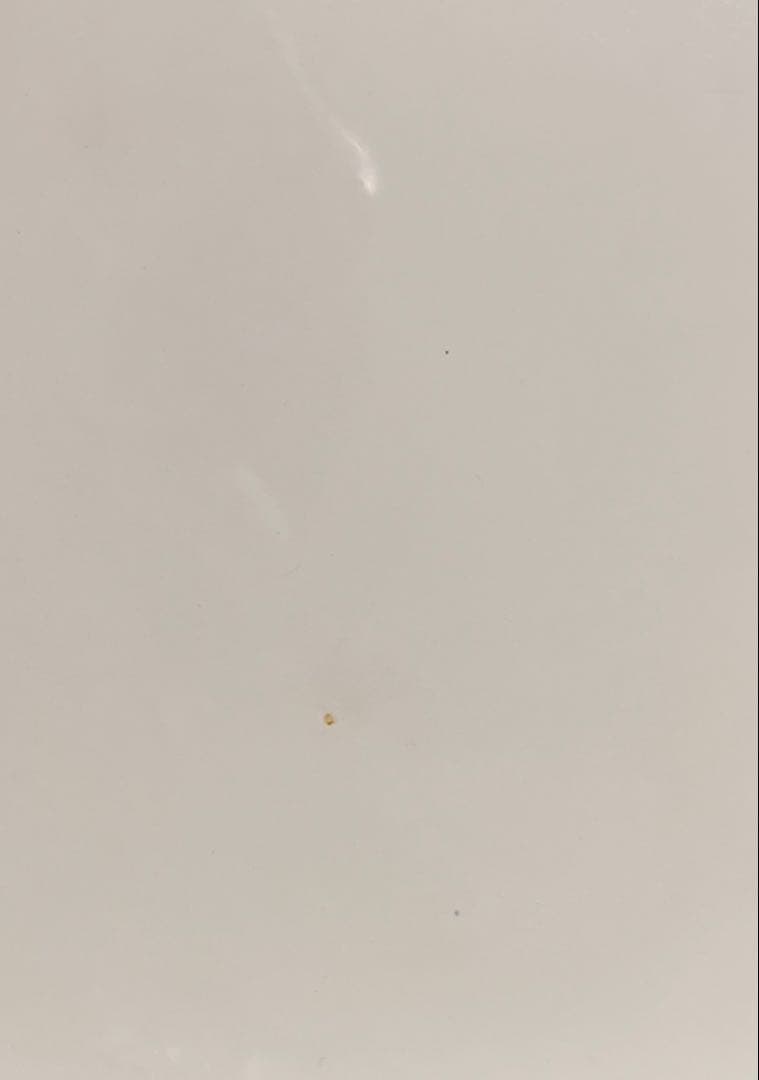 エヴァンゲリオン 缶バッジとポストカードセット 綾波レイ