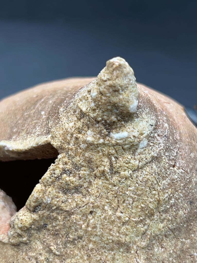 杉本貞光（造）信楽 宝珠形花入