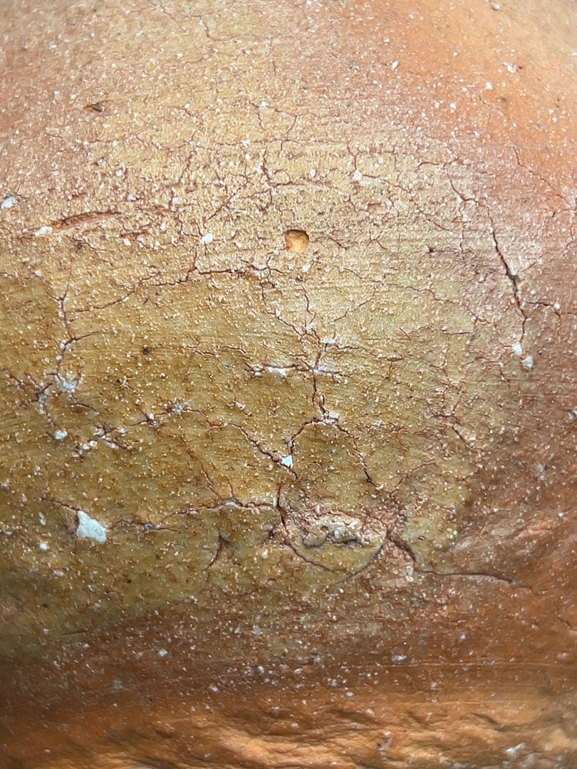 杉本貞光（造）信楽 宝珠形花入