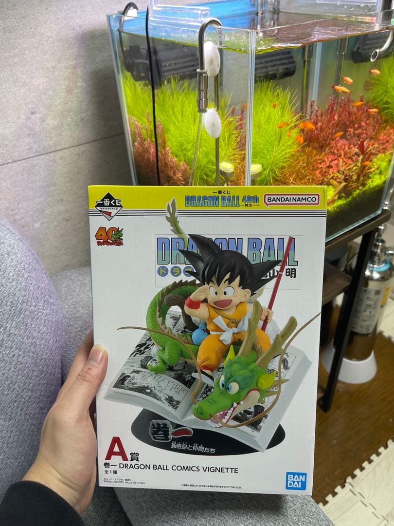 ドラゴンボール 一番くじ DRAGON BALL 40th 〜其之一〜 A賞
