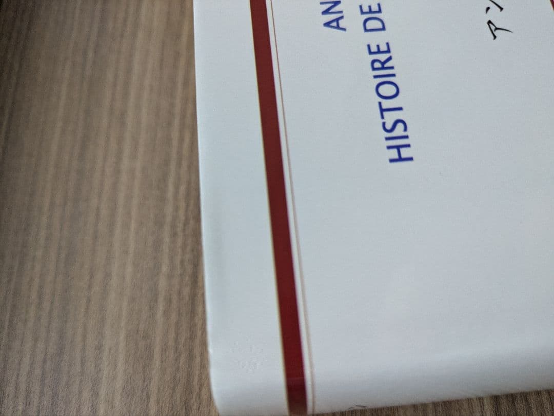 【入手困難】アンヌ・チャン　中国思想史