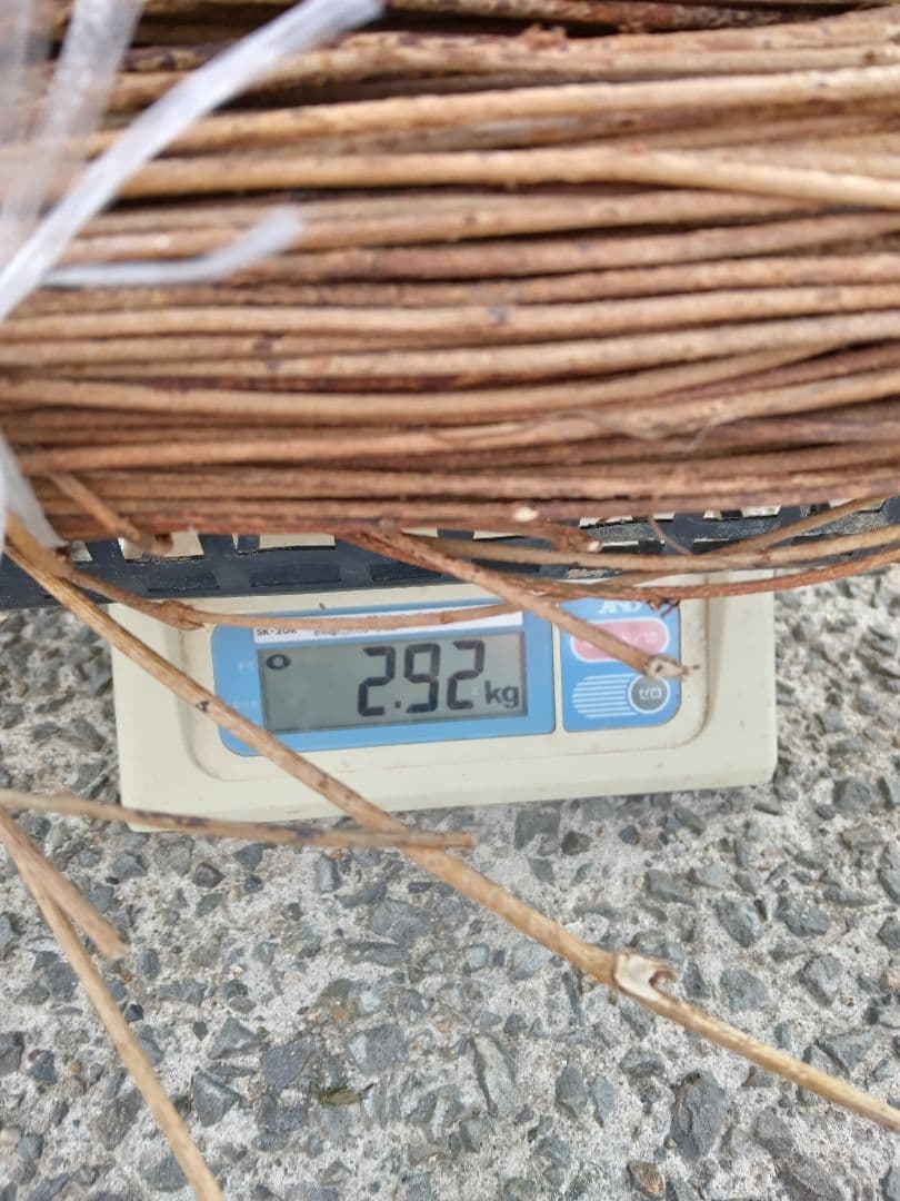 あけび蔓 編み蔓(細い)