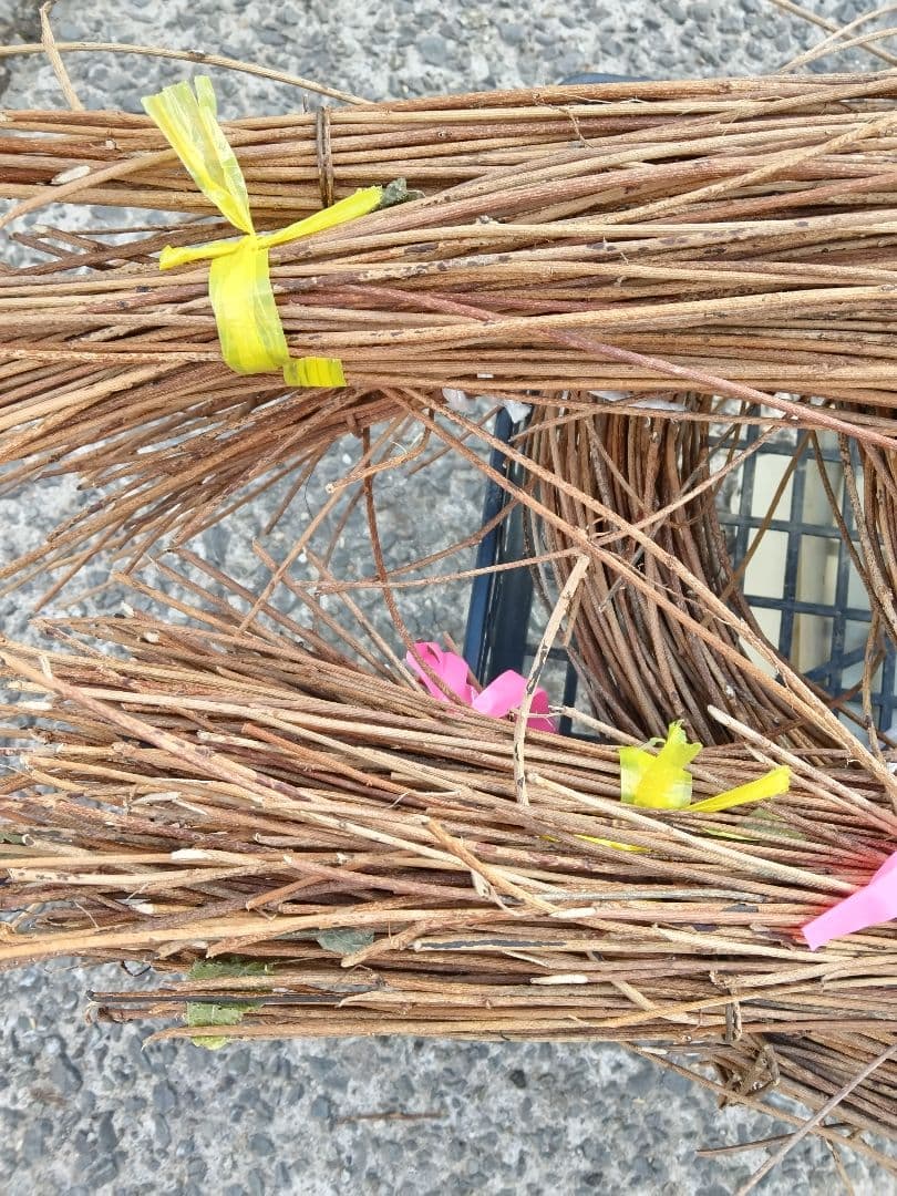 あけび蔓 編み蔓(細い)