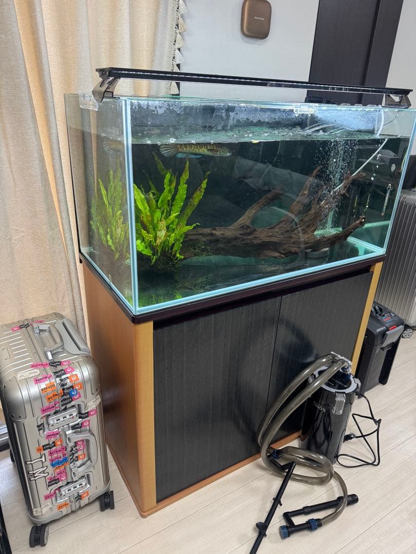 90センチ　ガラス水槽　水槽台　外部フィルター　セット