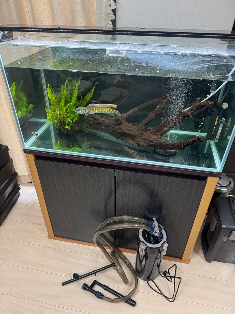 90センチ　ガラス水槽　水槽台　外部フィルター　セット