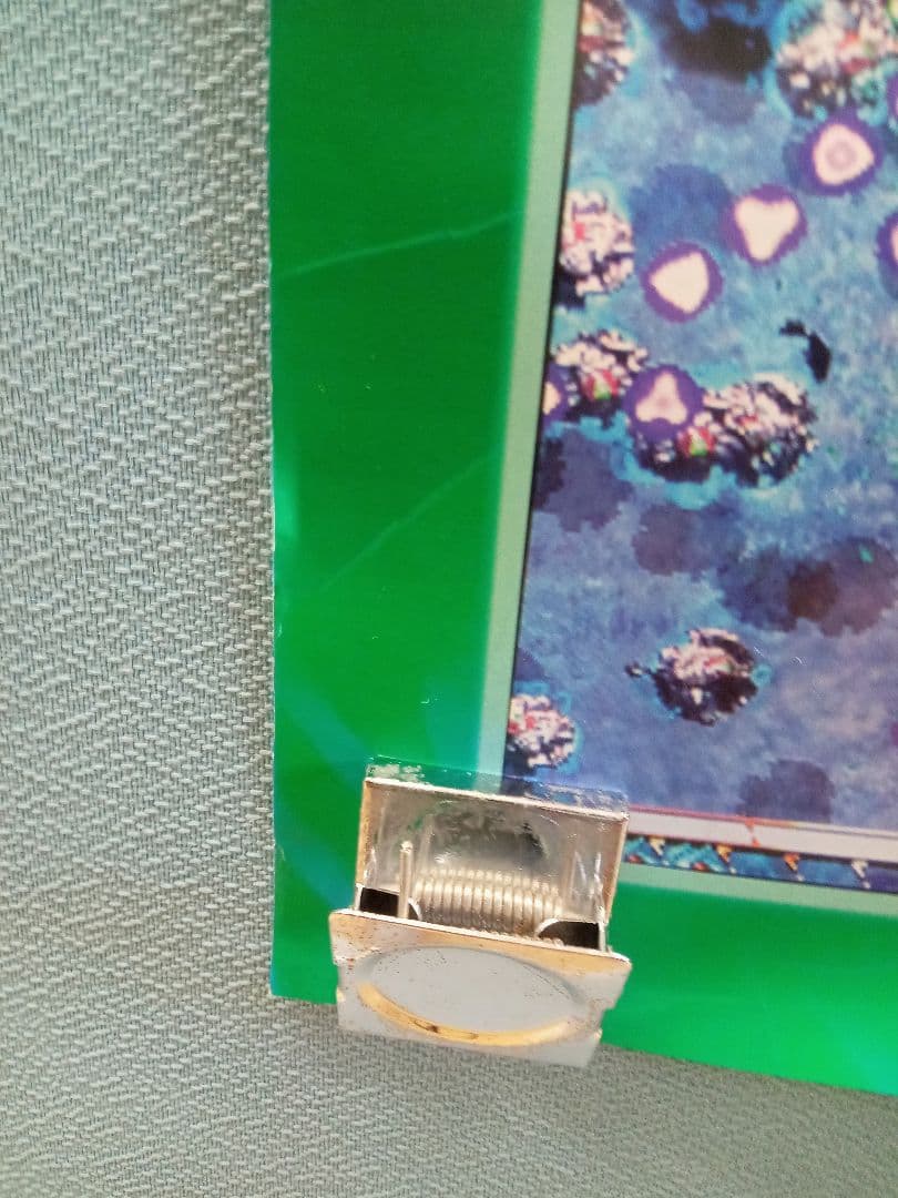 ケイブ 虫姫さま アーケード B1ポスター