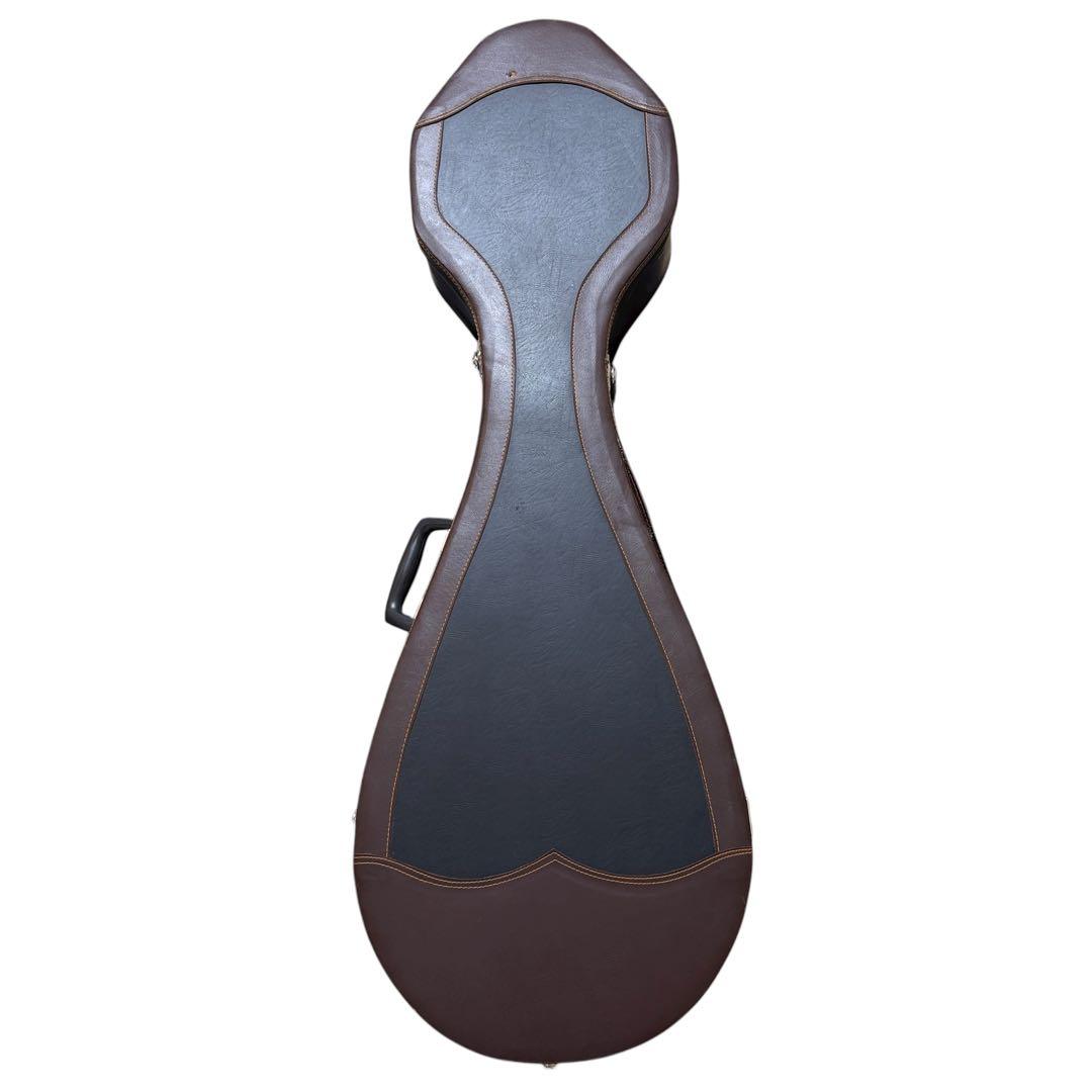 【美品】牡丹彫刻付き 中国琵琶 ピーパ 響き豊かな工芸モデル　新品弦1.2付き