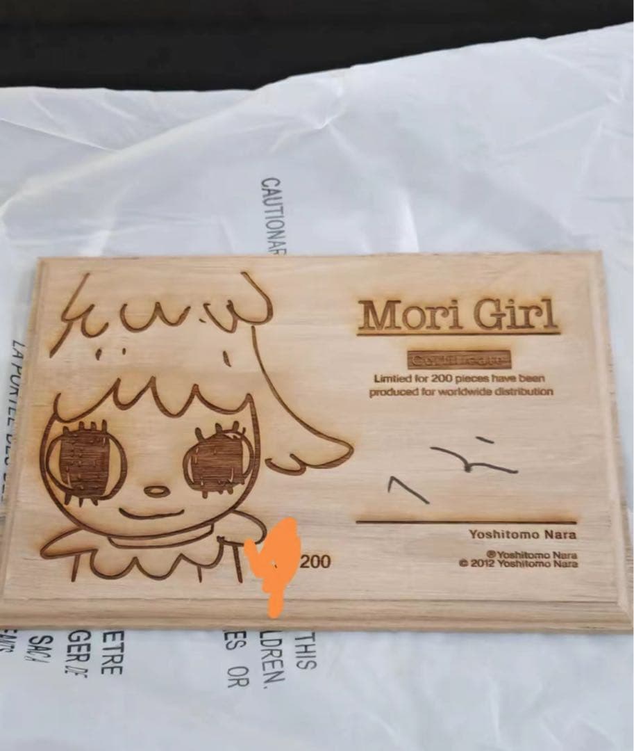 奈良美智 大森子 森ガール Yoshitomo Nara 奈良美智