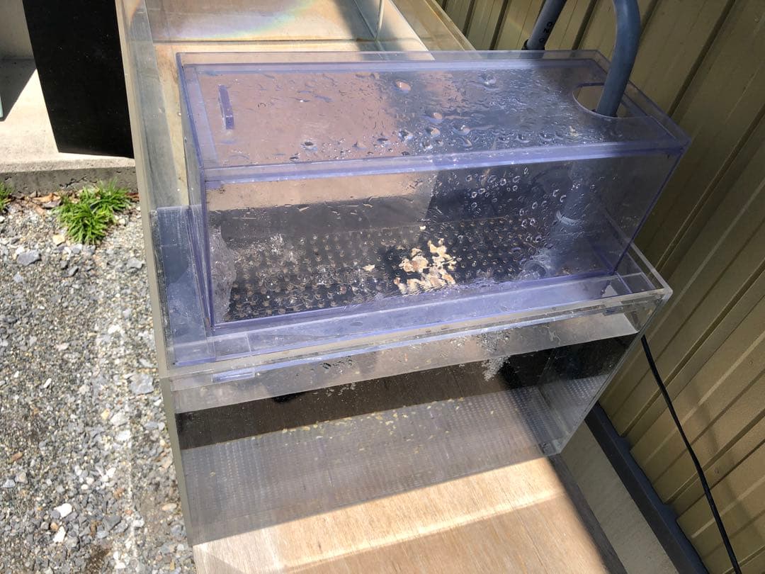 キ*シ様 サイド濾過槽付き水槽