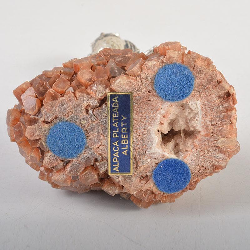 ALPACA PLATEADA Y　フクロウ　梟　置物　C　6772