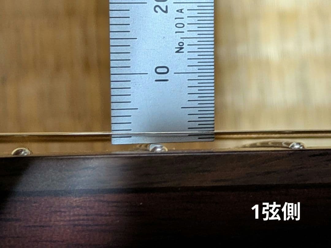 【美品】ドナー Donner HUSH-I PRO メンテナンス済 弦高低！