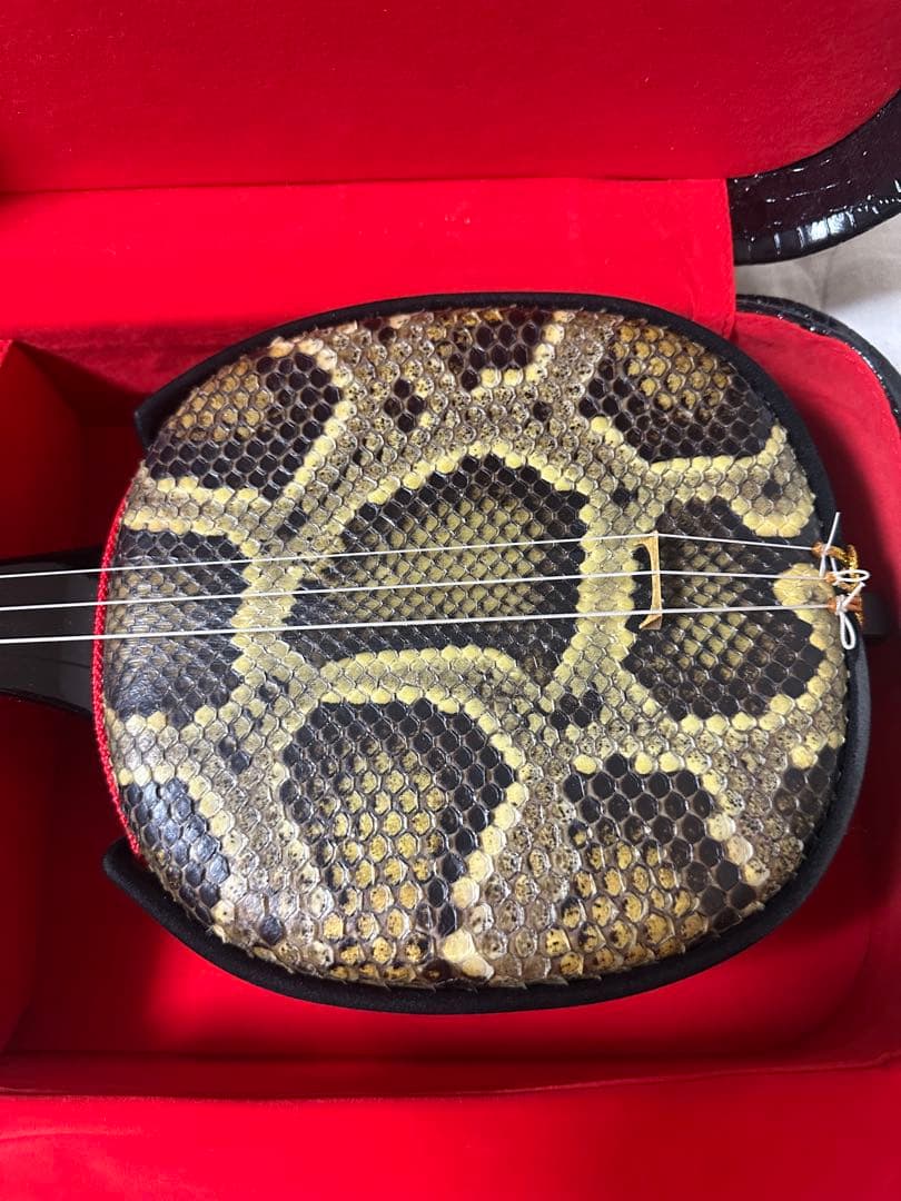 三線 本体 蛇の皮 ケース付き