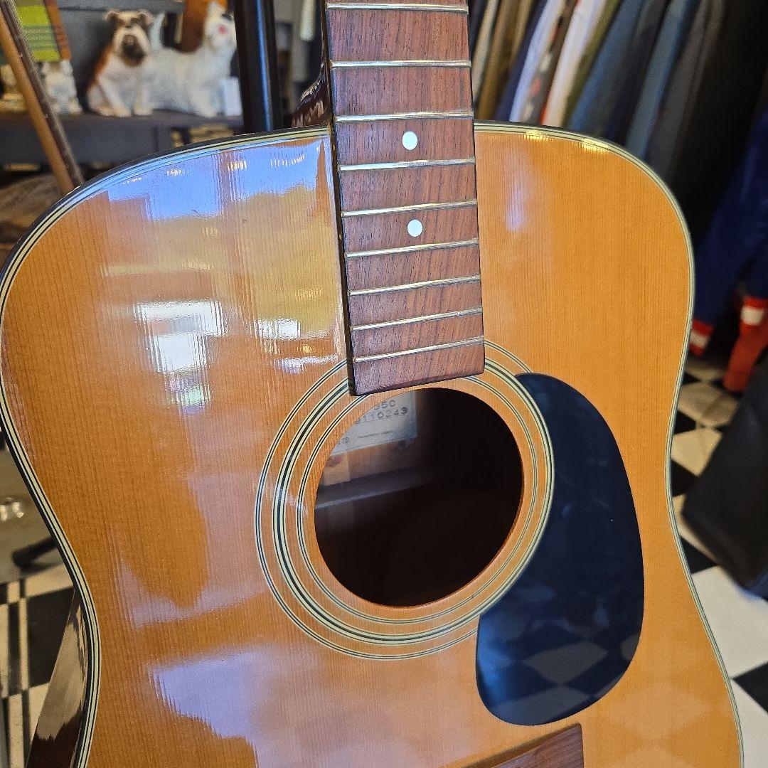 TOKAI Cat’s Eye CE-350 訳あり アコースティックギター