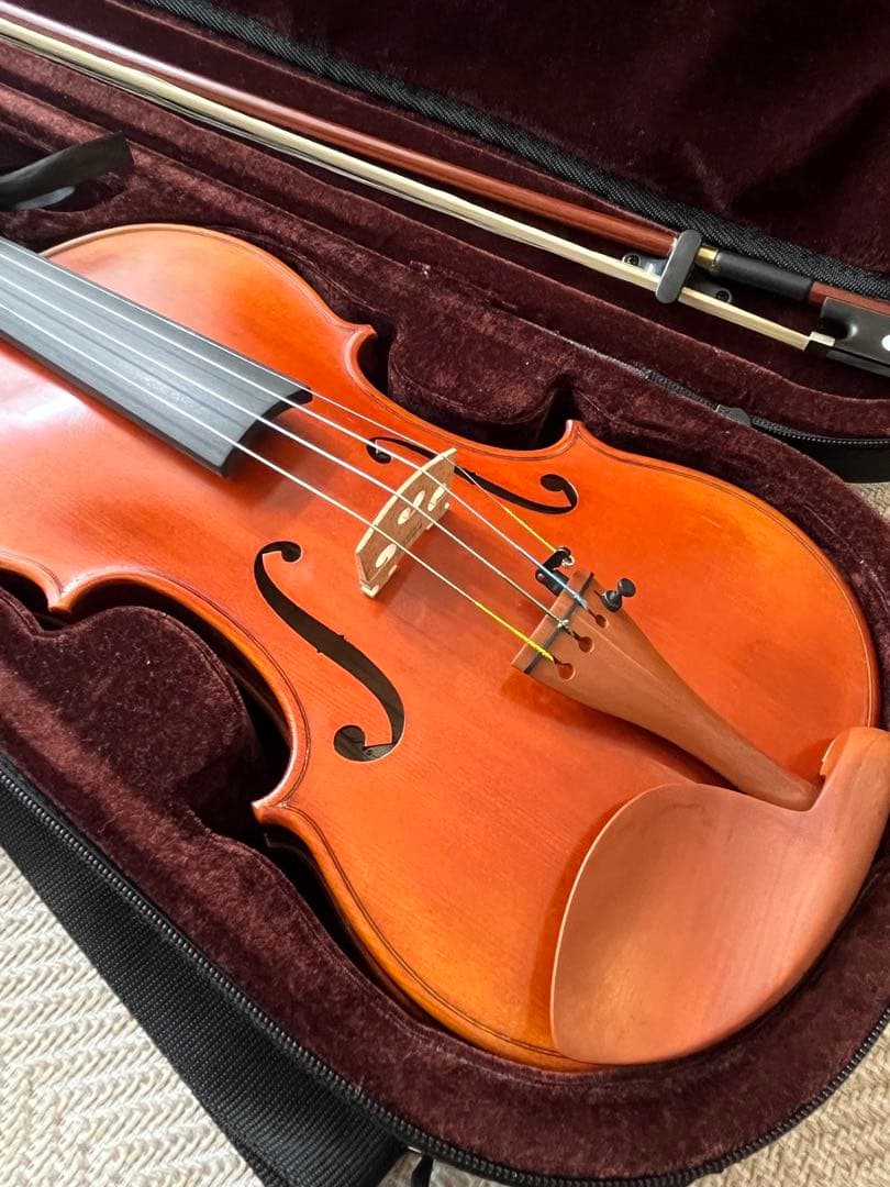 カルロジョルダーノ VS2 4/4バイオリン　ケース　肩当て　ミュート付き