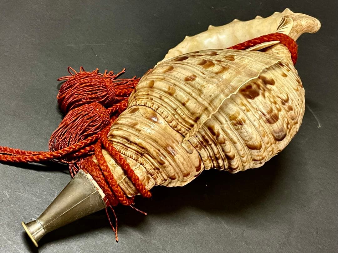 割引❣️【美品】「母」 法螺貝 ほら貝 口金 38cm 山伏 修験道 (218A)