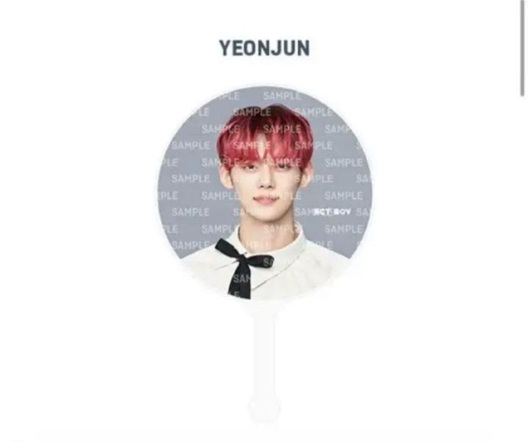 はーたん様　NCTdream ペンライト txtうちわ セット