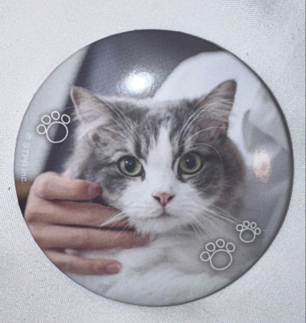 kame プロフィール必読ページ