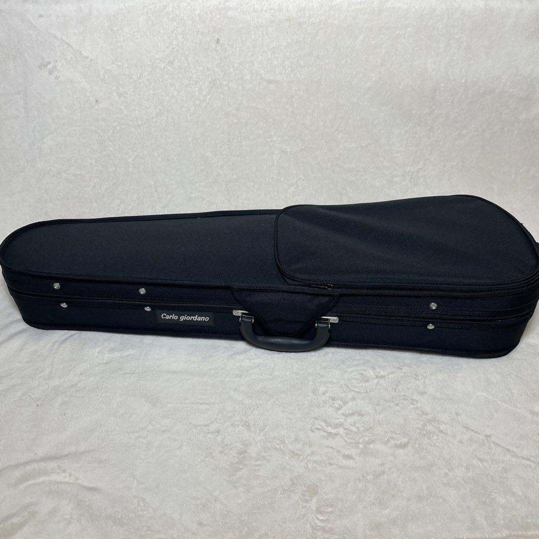Carlo Giordano カルロジョルダーノ EV-202 エレキバイオリン