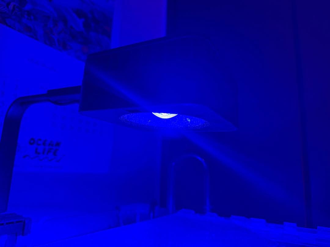 Reef LED G2 60 & マウンティングアームセット