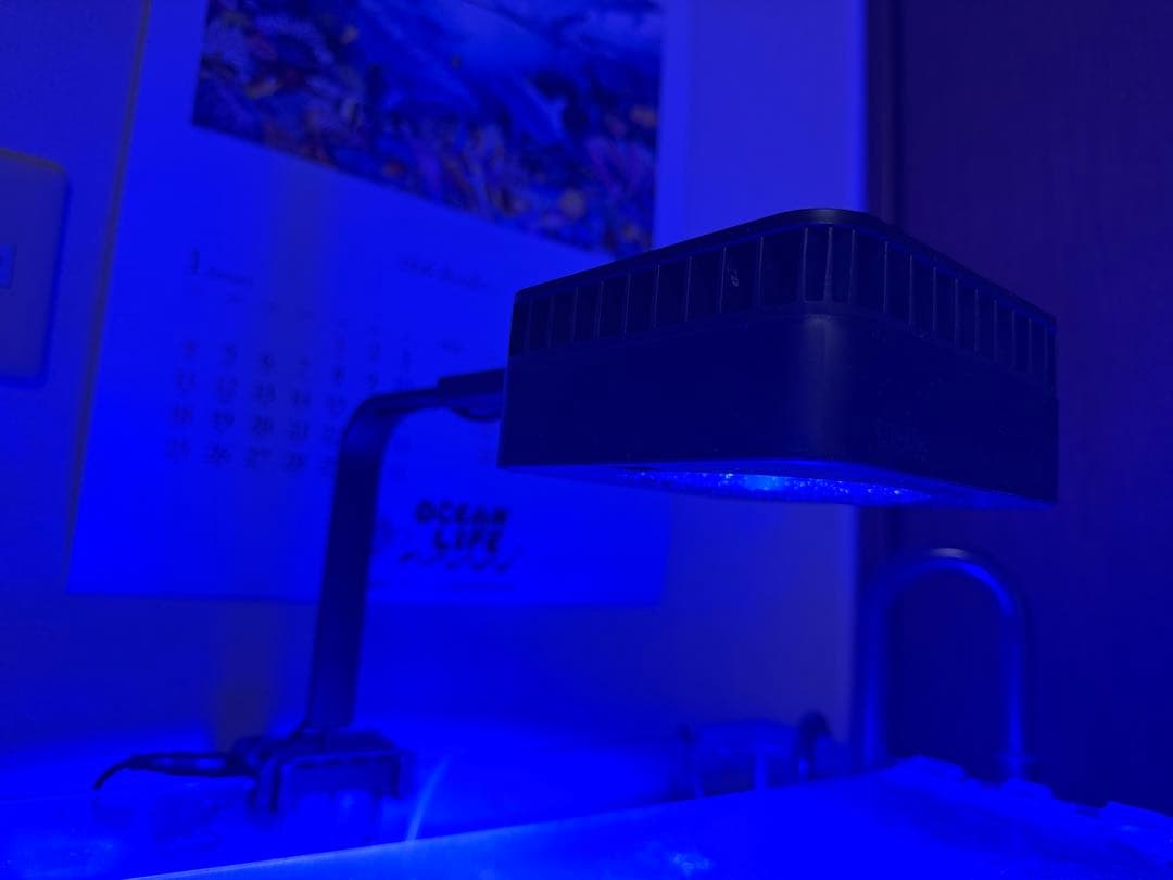 Reef LED G2 60 & マウンティングアームセット