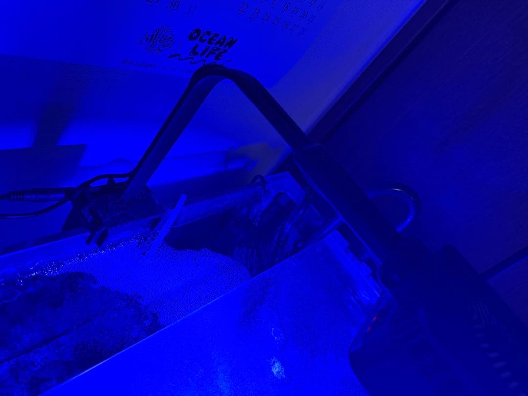 Reef LED G2 60 & マウンティングアームセット