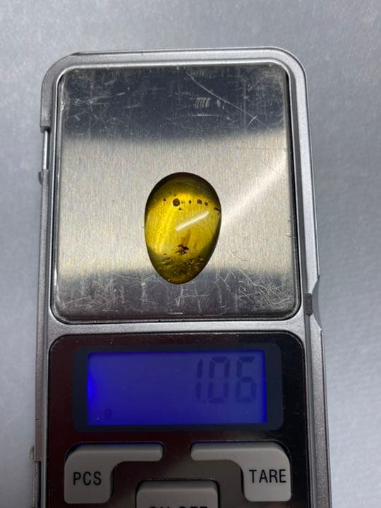 アンバー 琥珀 アカイエカ ユニーク 天然石 虫入り 価値上がる