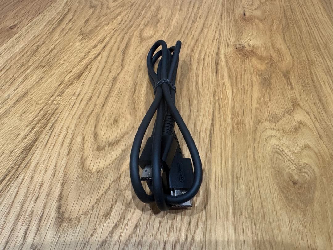 Nintendo Switch どうぶつの森デザイン 本体（ケースつき）