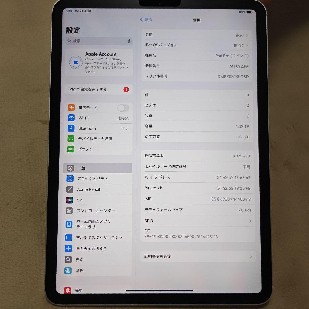 iPad Pro11 第1世代 Cellular 1024GB シルバー