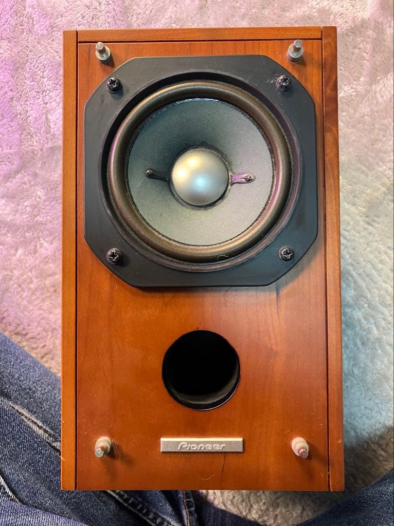 【動作OK】PIONEER パイオニア スピーカー LE-101A