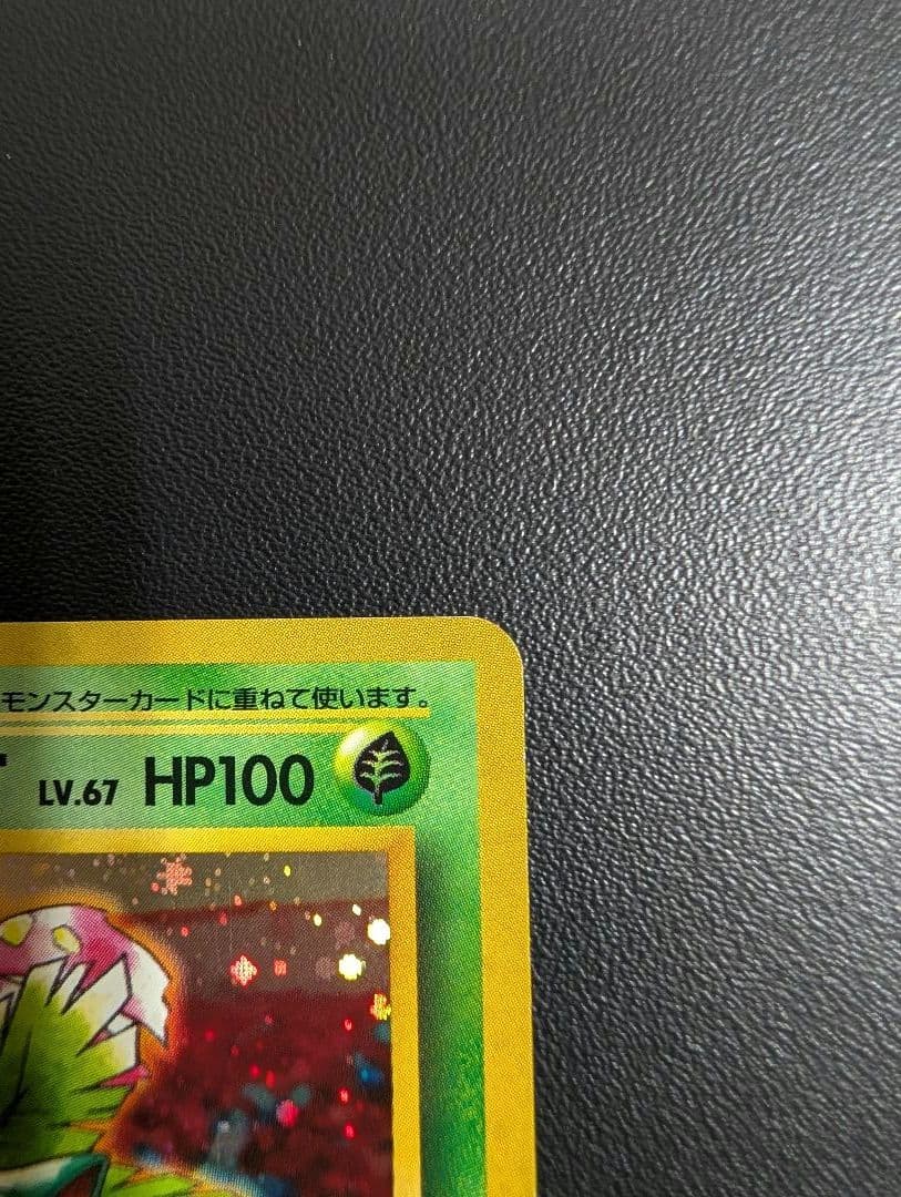 フシギバナ イントロパック 旧裏